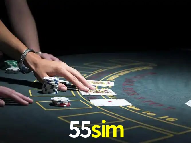 Sistema de Segurança Avançado 55sim - Criptografia e Proteção